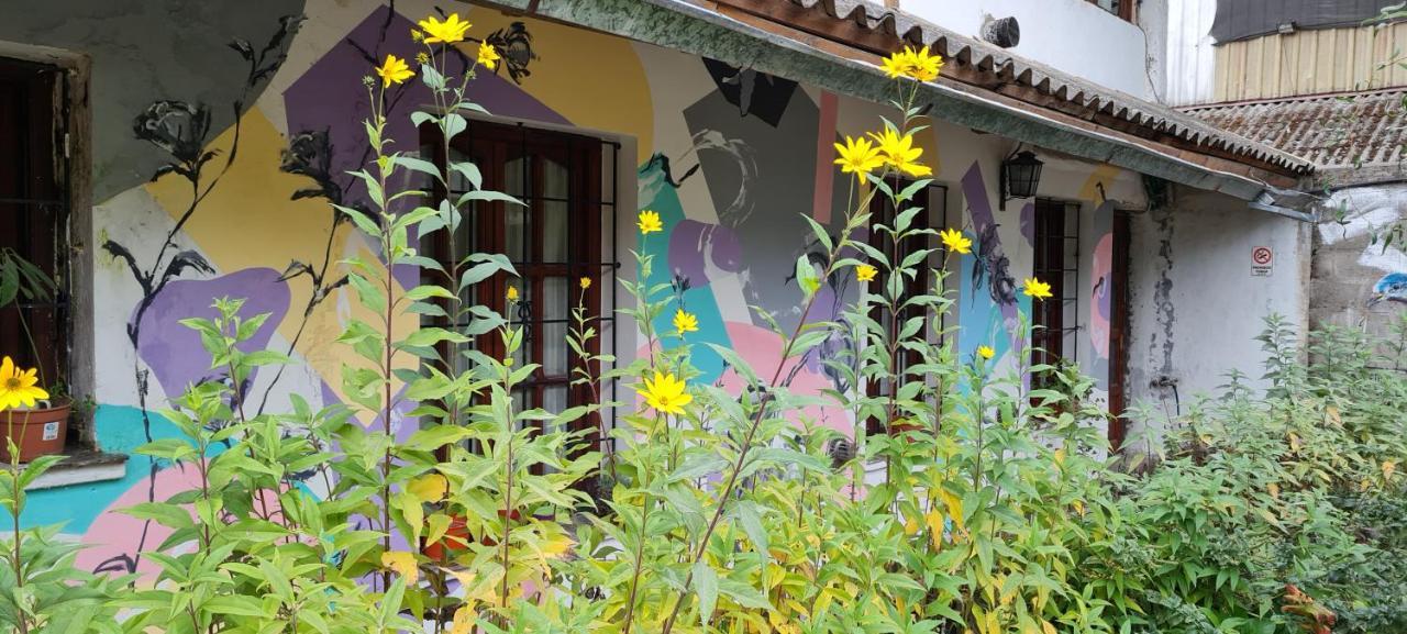 La Casa Del Arbol - Hostel El Bolsón Eksteriør bilde