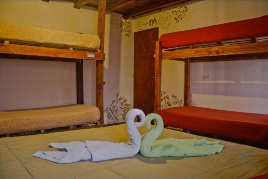 La Casa Del Arbol - Hostel El Bolsón Eksteriør bilde